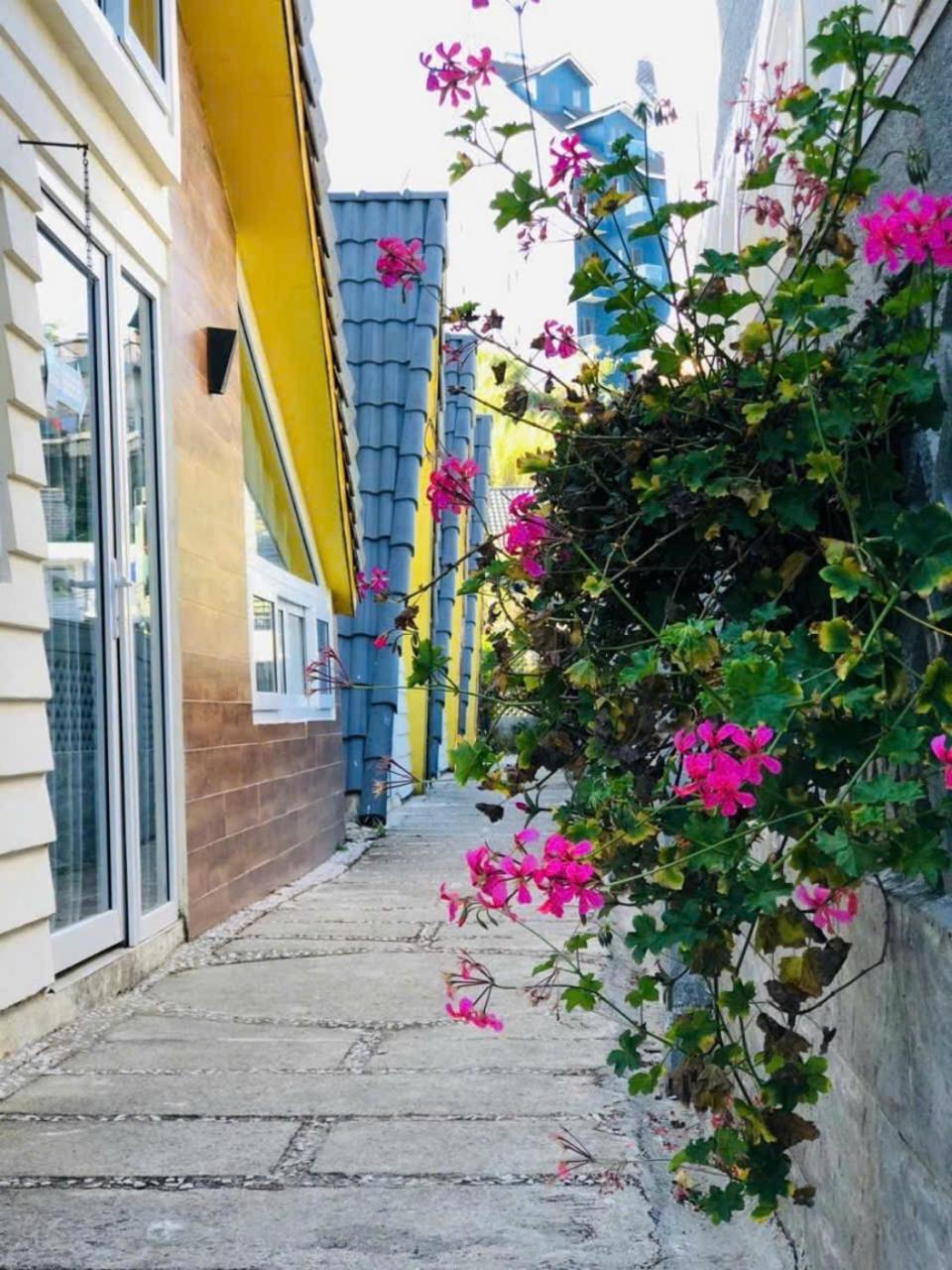 La Nha Homestay Đà Lạt Extérieur photo